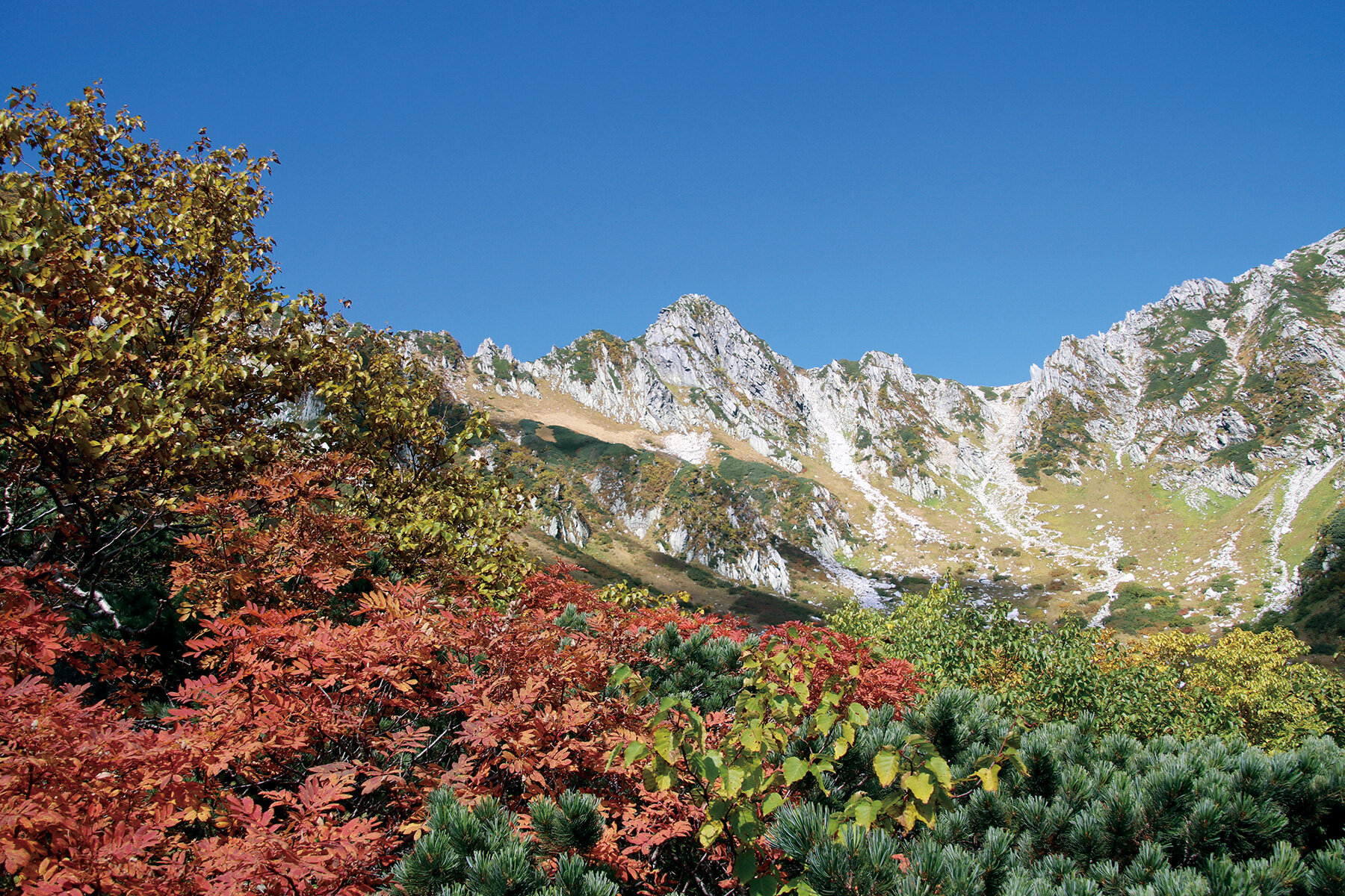 【関東周辺】絶景! 秋めく彩りの山へ(2)