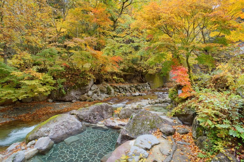 【紅葉の秘湯】足元から湧く湯の恵みを実感 福島・二岐温泉 大丸あすなろ荘(1)